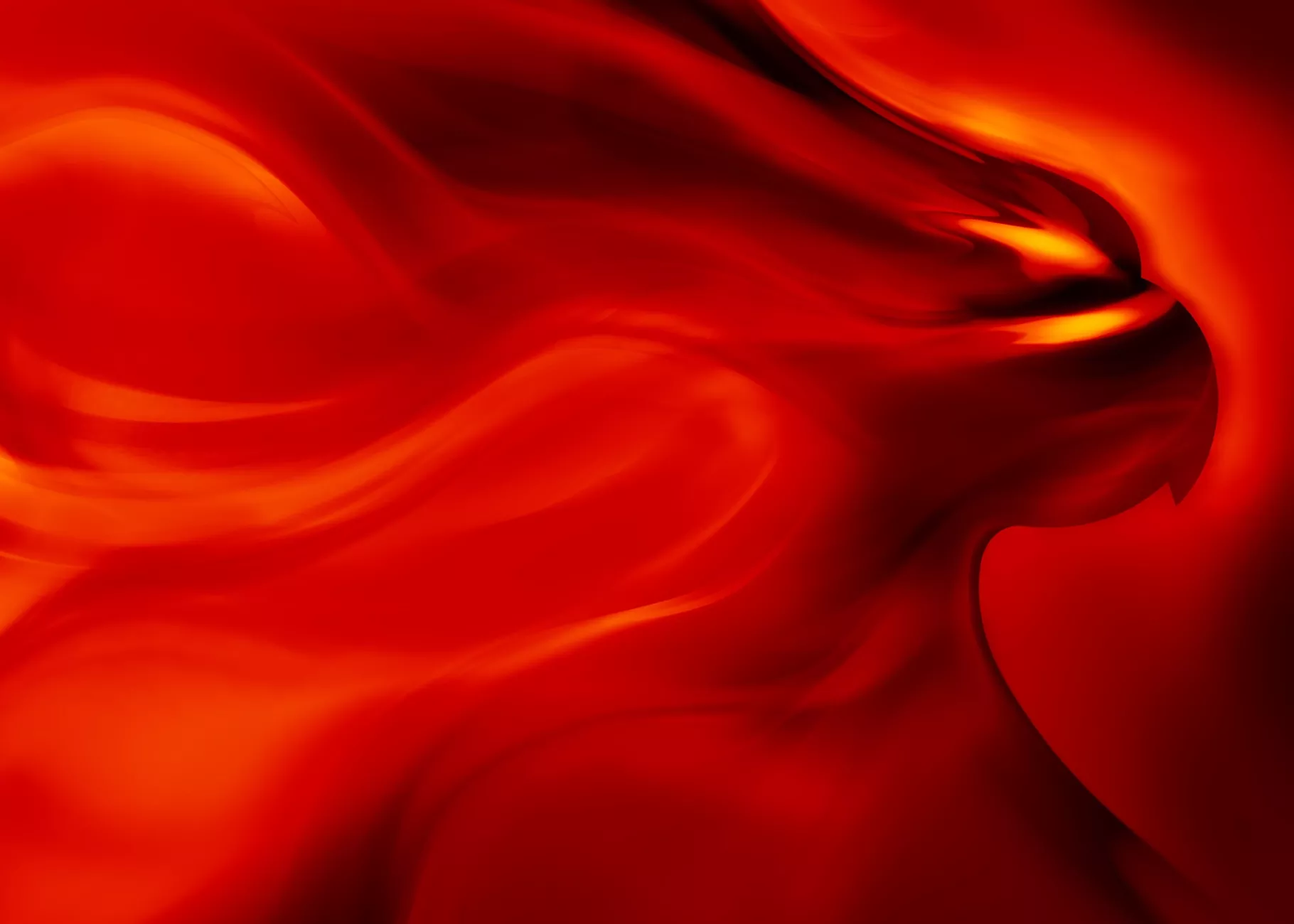 Cardinal head illustration