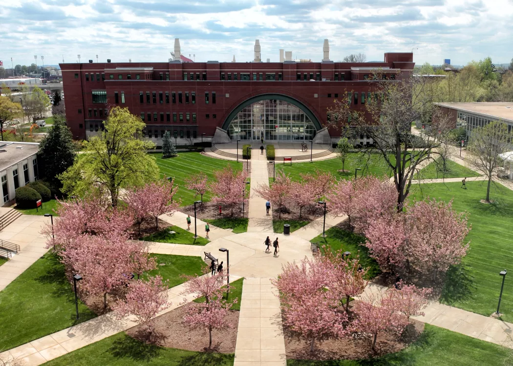 Aerial view of Lutz and sidewalk